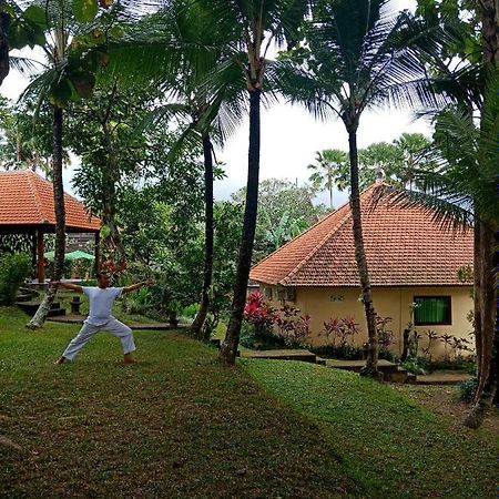 Argasoka Bungalows Ubud Esterno foto