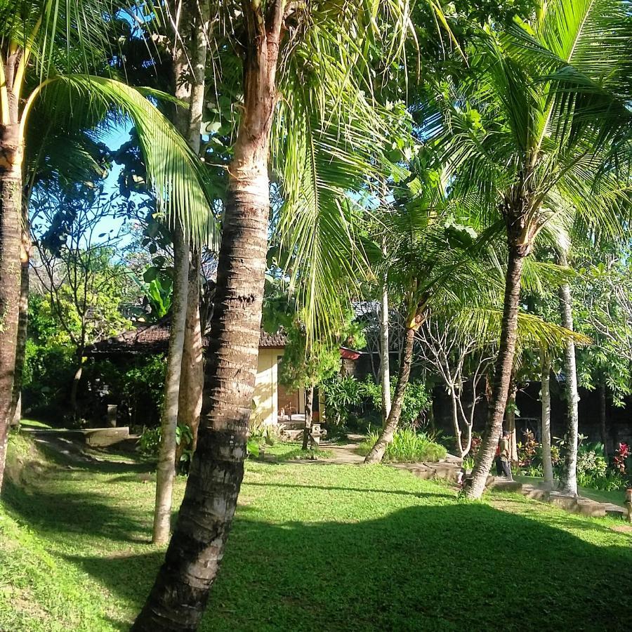 Argasoka Bungalows Ubud Esterno foto