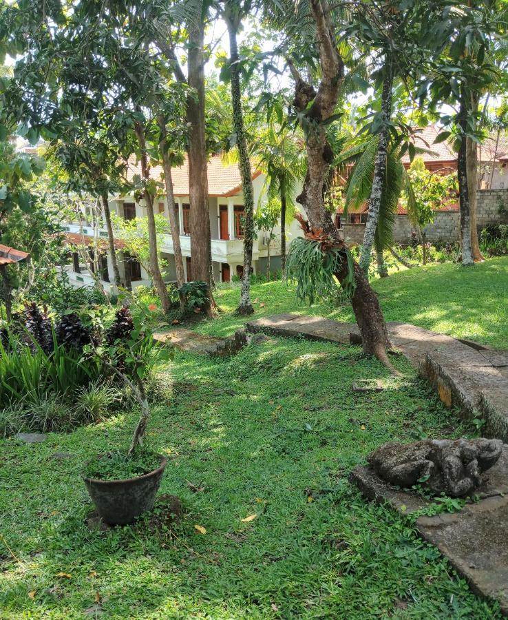 Argasoka Bungalows Ubud Esterno foto