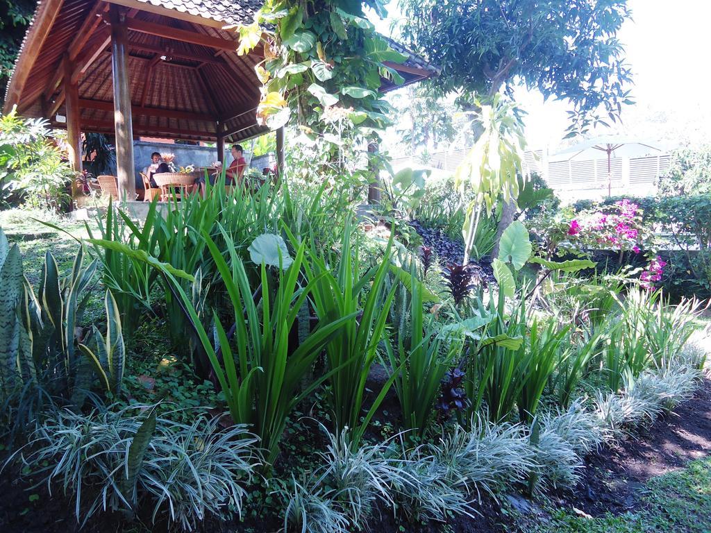 Argasoka Bungalows Ubud Esterno foto