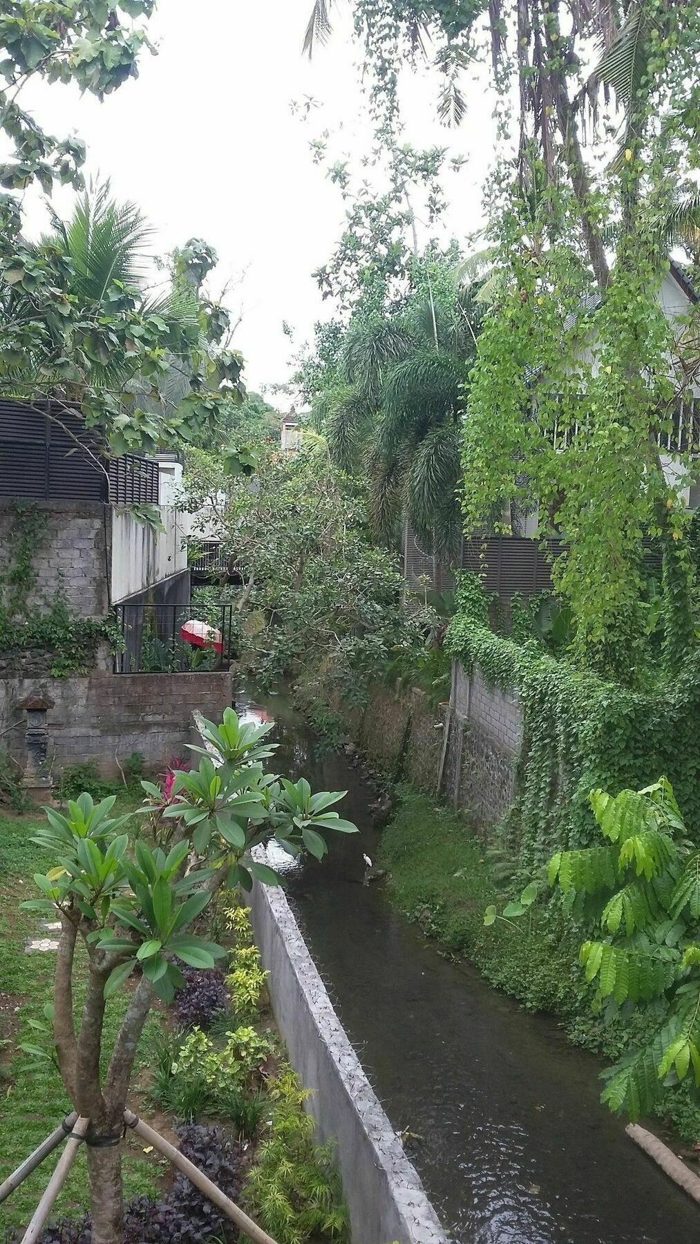 Argasoka Bungalows Ubud Esterno foto