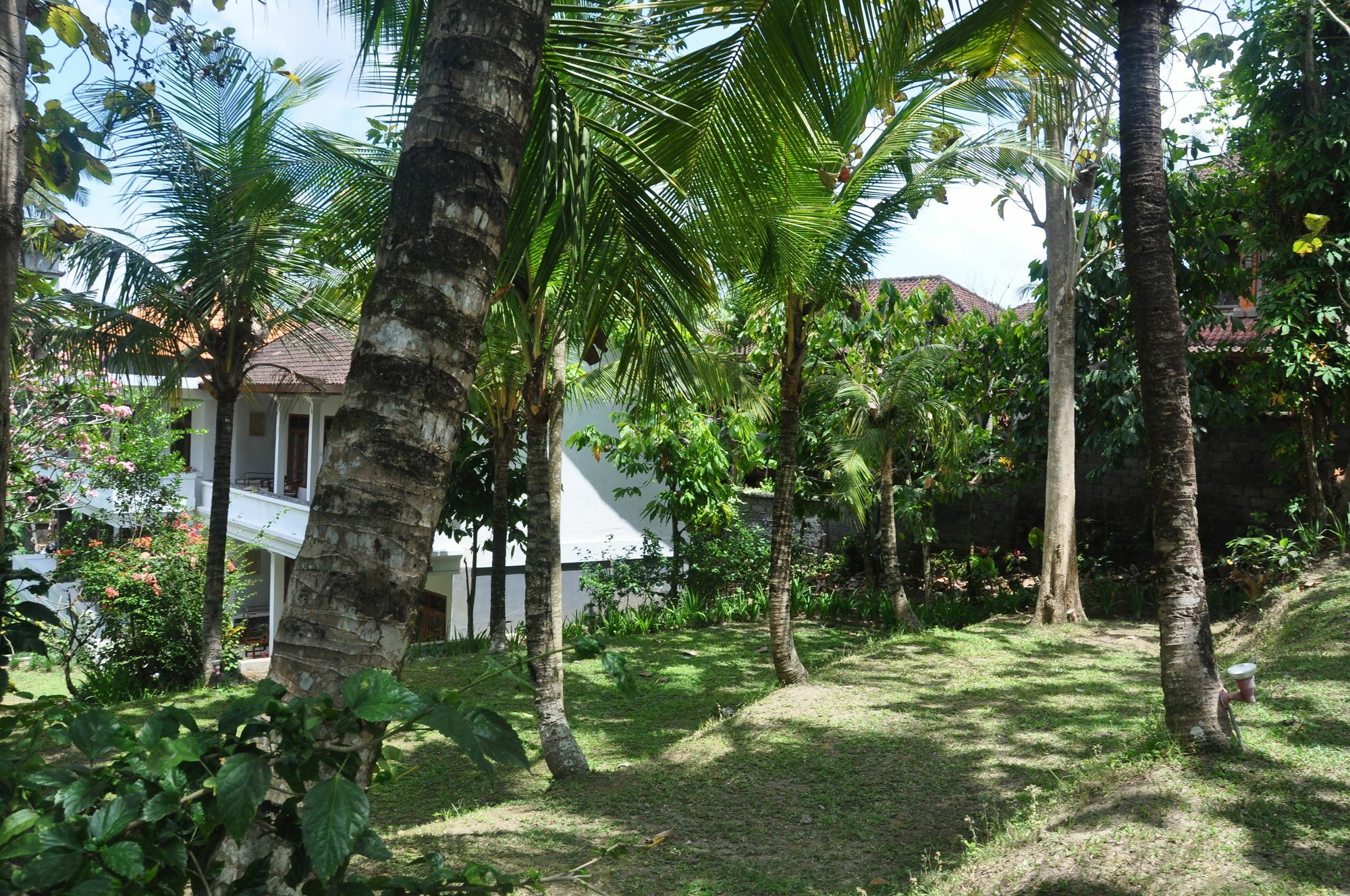 Argasoka Bungalows Ubud Esterno foto